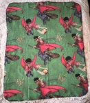 Vintage Harry Potter Green Fleece Throw Blanket 46" X 63" Quidditch Warner Bros.. Fixed Price $14.39.