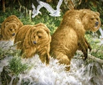 Wild Bear Animals - Nordic Fleece 48"X60" Finished Blanket/throw By Dt Home. Fixed Price $13.70.
