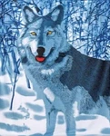 Wolf Animal Fleece Throw Wildlife Bed Blanket In The Snow 60" X 50" New. Fixed Price $14.99.
