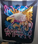 American Eagle Thunder Throw Blanket Spirit Born Wild Lightning 53"X60" Usa Vtg. Fixed Price $21.24.