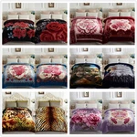 Korean Style Silky Mink A&b Ply Reversible Bed Blankets Queen King Size. Fixed Price $46.01.