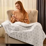 Bearhug Electric Throw Blanket 50" X 60", Reversible Velvet & Sherpa Heated T.... Fixed Price $59.14.