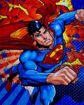 Dc Superman Throw Blanket - Soft Fluffy & Warm 60"X80" Machine Washable. Fixed Price $59.99.