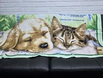 Humane Society Celebrating Animals Dog Cat Sleeping Blanket Throw 32/59 New. Fixed Price $14.89.