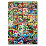 Marvel Incredible Hulk Comic Books Oversized Sherpa Throw Blanket 8 Feet Long. Fixed Price $59.99.