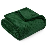 Pavilia Emerald Green Throw Blanket For 60 X 80 Inches - Twin,. Fixed Price $32.74.