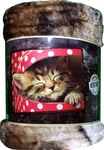 American Heritage Plush Raschel Throw 50X60 Kitten In Polka Dot Box. Fixed Price $28.95.