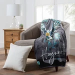 Northwest Harry Potter Letter Silk Touch Sherpa Throw Blanket 50 X 60. Fixed Price $49.99.