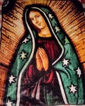 Our Lady Of Guadalupe Plush Blanket By Northwest Blessed Mother Virgin Mary. Fixed Price $49.99.