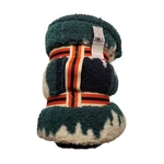 American Eagle Outfitters Blanket Sherpa Fleece Ae Logo Green Trees Cabin Nwt. Fixed Price $19.99.