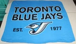 Mlb Baseball Vintage 2000S Toronto Blue Jays Fleece Throw Blanket 54 X 48. Fixed Price $39.99.