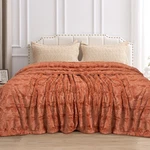 Toonow Faux Fur Luxury Throw Blanket Double Side Soft Fluffy Shaggy Fuzzy. Fixed Price $75.77.