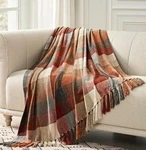 Evergrace Plaid Chenille Throw Blanket. 50X60. Fixed Price $16.99.