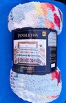 Pendleton King Blanket - Legend Lake Aqua New With Tags. Fixed Price $89.99.