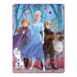 Northwest 'falling Leaves' Silk Touch Throw Blanket, 46" X 60". Fixed Price $71.99.