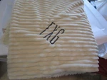 Pottery Barn Teen Ribbed Ivory Throw 50 60 Mono Fxg New Wo Tag. Fixed Price $25.99.