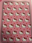 Hello Kitty Valentine Day Pink Twin 60 X 90 Blanket Love Hearts. Fixed Price $24.99.