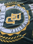 Baylor University Green & Gold Logo Throw Blanket. Fixed Price $30.00.