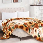 Hig Printed Cozy Blanket, Single Piece Luxury 100% Polyester, Soft Lightweight. Fixed Price $54.90.