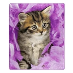 American Heritage Royal Plush Throw Blanket "kittens & Feathers" 50" X 60" Cat. Fixed Price $28.88.