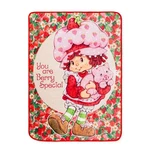 Strawberry Shortcake "berry Special" Raschel Throw Blanket 45 X 60 Inches. Fixed Price $39.99.