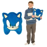 Franco Sonic The Hedgehog Anime Decorative Throw Pillow, 16" Inch. Fixed Price $24.95.