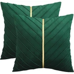 Tosleo Green Pillow Covers 18X18 Inch Pack 2 With Gold Leather Soft Velvet.... Fixed Price $26.81.