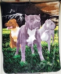 Pitbulls 3 Guardians Queen Size Blanket. Fixed Price $60.96.