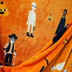 Hyde And Eek Throw Plush Blanket Halloween Ghost Cat Dracula Dog 50X60 Target. Fixed Price $10.42.