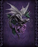 Dragon Beauty Purple Rose Silk Touch Queen Size Plush Blanket 79X94 Anne Stokes. Fixed Price $67.00.