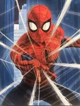 Marvel Spiderman Web City Blues Silky Soft Throw Blanket 40 X 50 Inches. Fixed Price $9.99.