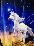 Wild Frontier Oeko-tex Unicorn Plush Blanket. Fixed Price $24.95.