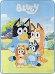 Northwest Bluey Micro Raschel Throw Blanket, 46" X 60", Family Photo Gift. Fixed Price $24.88.
