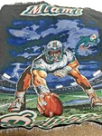 The Northwest Company Nfl Miami Dolphins Woven Jacquard Throw Blanket. Fixed Price $25.00.