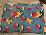 Northwest Company Pokemon Pokeball Power Pikachu Blue Throw Blanket Kids 46"X38". Fixed Price $22.00.