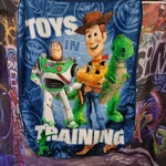 Story Northwest Fleece Throw Blanket Training Buzz Lightyear Woody. Fixed Price $19.95.