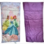 Disney Princess Soft Born To Dream Sleeping Bag Blanket (28IN X 56IN). Fixed Price $22.00.