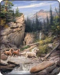 Canyon Run Horses Mare Full / Queen Size Soft Medium Weight Bed Blanket. Fixed Price $69.95.