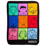 Silver Buffalo Peanuts Featuring Pig-pen, 45" X 60", Character Grid. Fixed Price $53.99.