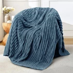 Luxury Fleece Soft Warm Lightweight Cozy Queen Size 310 Gsm. Fixed Price $34.99.