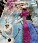 Northwest Disney Frozen Anna Elsa Olaf Throw Blanket Thick Velour Fleece 43 X 52. Fixed Price $39.99.