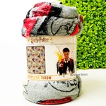 Harry Potter To School Hogwarts Plush Fleece Throw Blanket Soft 46" X 60" New. Fixed Price $19.95.