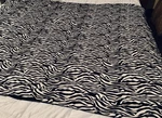 Biddeford Electric Heated Throw Blanket Zebra Stripe Plush 50" X 70" Twin Size. Fixed Price $39.99.
