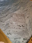 3PC Set Calvin Klein - Comforter Cotton Sateen Shams King, Wildflower Dusk. Fixed Price $299.99.