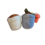 Pillowfort Garden Play Set Of 2. Strawberry Plant Extra Pot. Fixed Price $10.00.