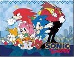 New Tails Knuckles Sonic The Hedgehog Fleece Throw Gift Blanket Video Game Amy. Fixed Price $20.68.