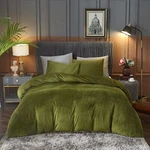 Ivellow Velvet Duvet Cover Queen Set Sage Green Comforter 3PCS Ultra So.... Fixed Price $59.13.