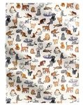 Vera Bradley Cats Life 50" X 80" Essentials Throw Blanket Cream Kitten Kitty. Fixed Price $42.96.