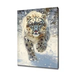 Snow Leopard Art Print Colourful Animals Canvas Picture Wild Life Painting. Fixed Price $31.89.