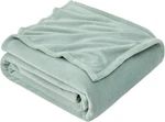 Eheyciga Fleece Blanket Throws For Sofas Soft Sage Green, 130X165CM. Fixed Price $12.09.